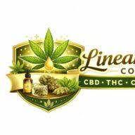 Logo Linear Gold Corp.