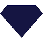 Logo Blue Nile, Inc.