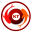 Logo Visant Corp.