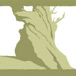 Logo Bristlecone Value Partners LLC