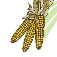 Logo Siouxland Ethanol LLC