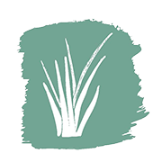 Logo Saltgrass, Inc.
