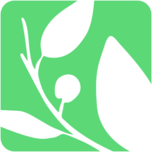 Logo Seeds of Peace