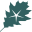 Logo OakStar Bancshares, Inc.