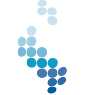Logo Gassnova SF