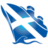 Logo Cruise Scotland