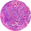 Logo Microscopy Innovations LLC