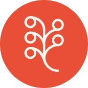 Logo Territory Foods, Inc.