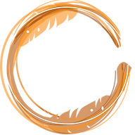 Logo CanSurround PBC