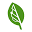 Logo Bigleaf Networks, Inc.