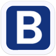 Logo BrassRing LLC