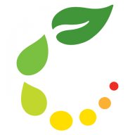 Logo Pace International LLC
