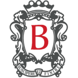 Logo St George Plc