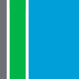 Logo RSM McGladrey, Inc.