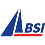 Logo BSI USA, Inc.
