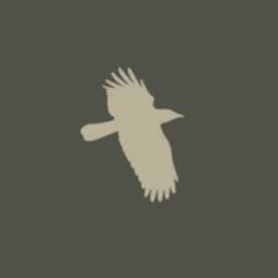 Logo Ravensbeck Plc