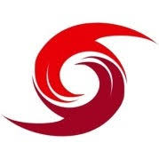 Logo Storm LLC