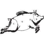 Logo Woestijnvis NV