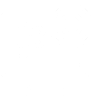 Logo AccuRev, Inc.