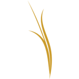 Logo Golden West Broadcasting Ltd.