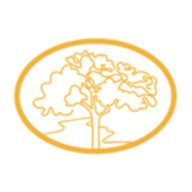 Logo Greentree Financial Group, Inc.