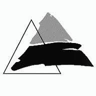 Logo Direct Insurance - Financial Investments Ltd.