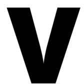 Logo Visara International