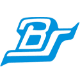 Logo Bharat Seats Ltd.