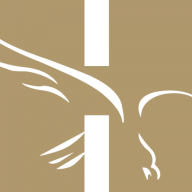 Logo Hertz Investment Group, Inc.