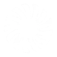 Logo BFI Wind Down, Inc.