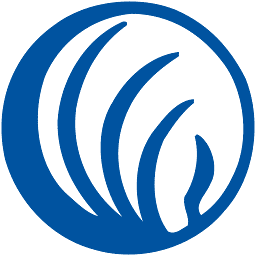 Logo NAMI National
