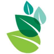 Logo Cultura Technologies Ltd.