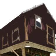 Logo Forever Young Treehouses, Inc.