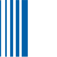 Logo Interchem Corp.