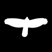 Logo Paul Reed Smith Guitars LP