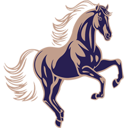 Logo Fillmore Capital Partners LLC