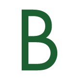 Logo Black Point Group LLC