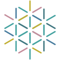 Logo The Chicago Network