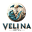 Logo Velina AD