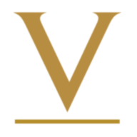 Logo Vunani Securities (Pty) Ltd.