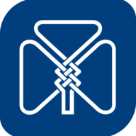 Logo The American Ireland Fund