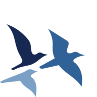 Logo Boone Capital Management LP