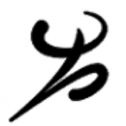 Logo The American Orthotic & Prosthetic Association