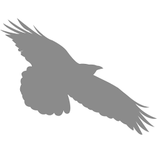 Logo Peter Ciceri & Associates