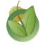 Logo Protenergy Natural Foods Corp.