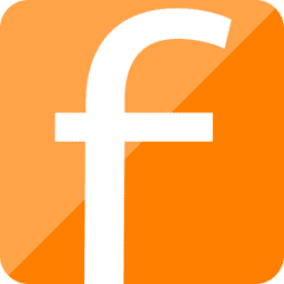 Logo FIDEA Sp zoo Sp k
