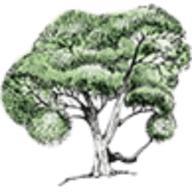 Logo Tembusu Partners Pte Ltd.
