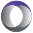 Logo Login Consulting Services, Inc.