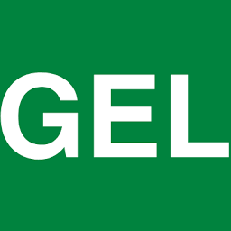 Logo The GEL Group, Inc.