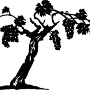 Logo The Monterey County Vintners & Growers Association